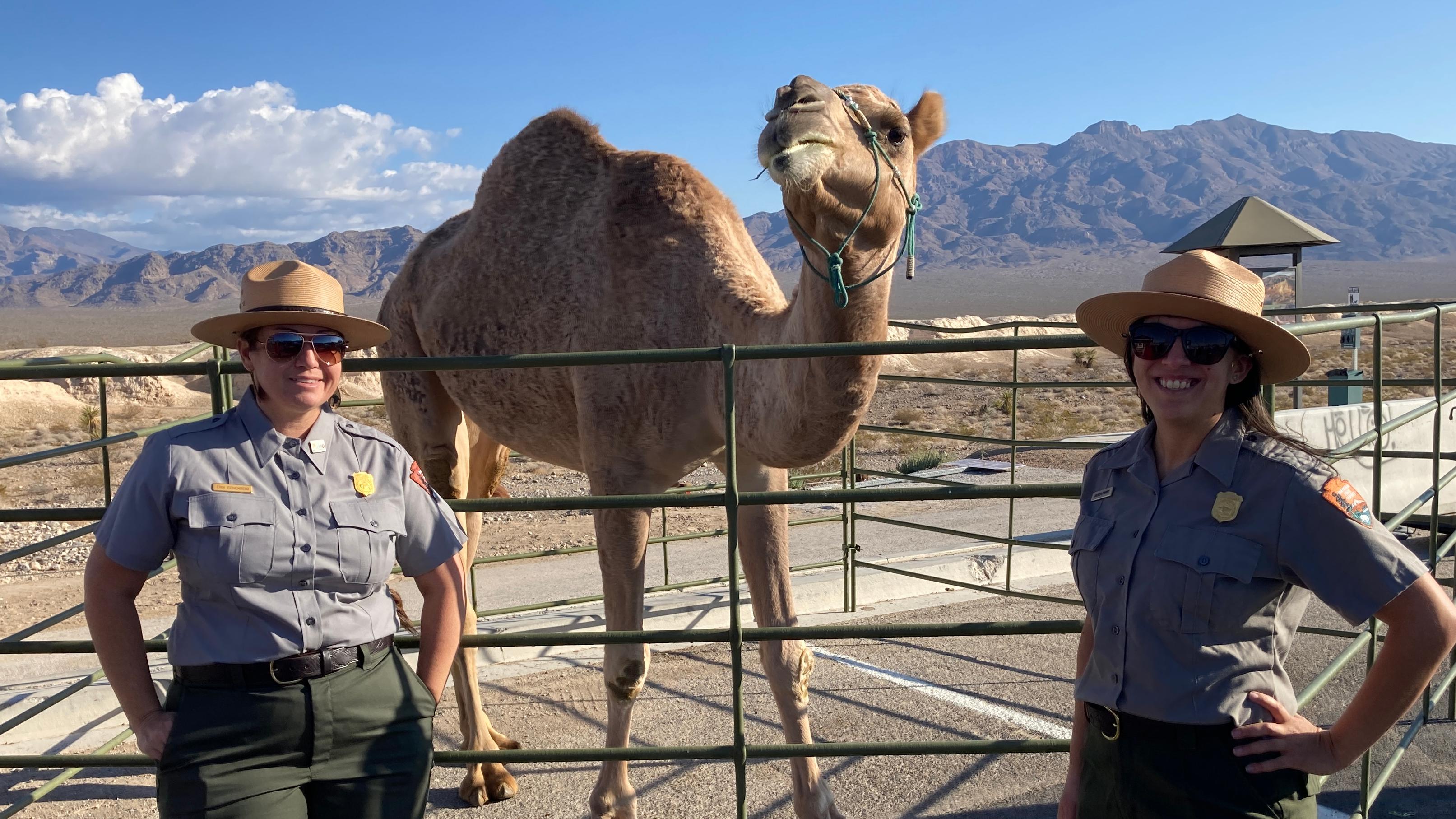 Two park rangers pose with a camel.
