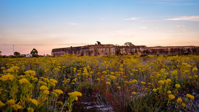 Fort Pickens stands tall in a field of yellow flowers.