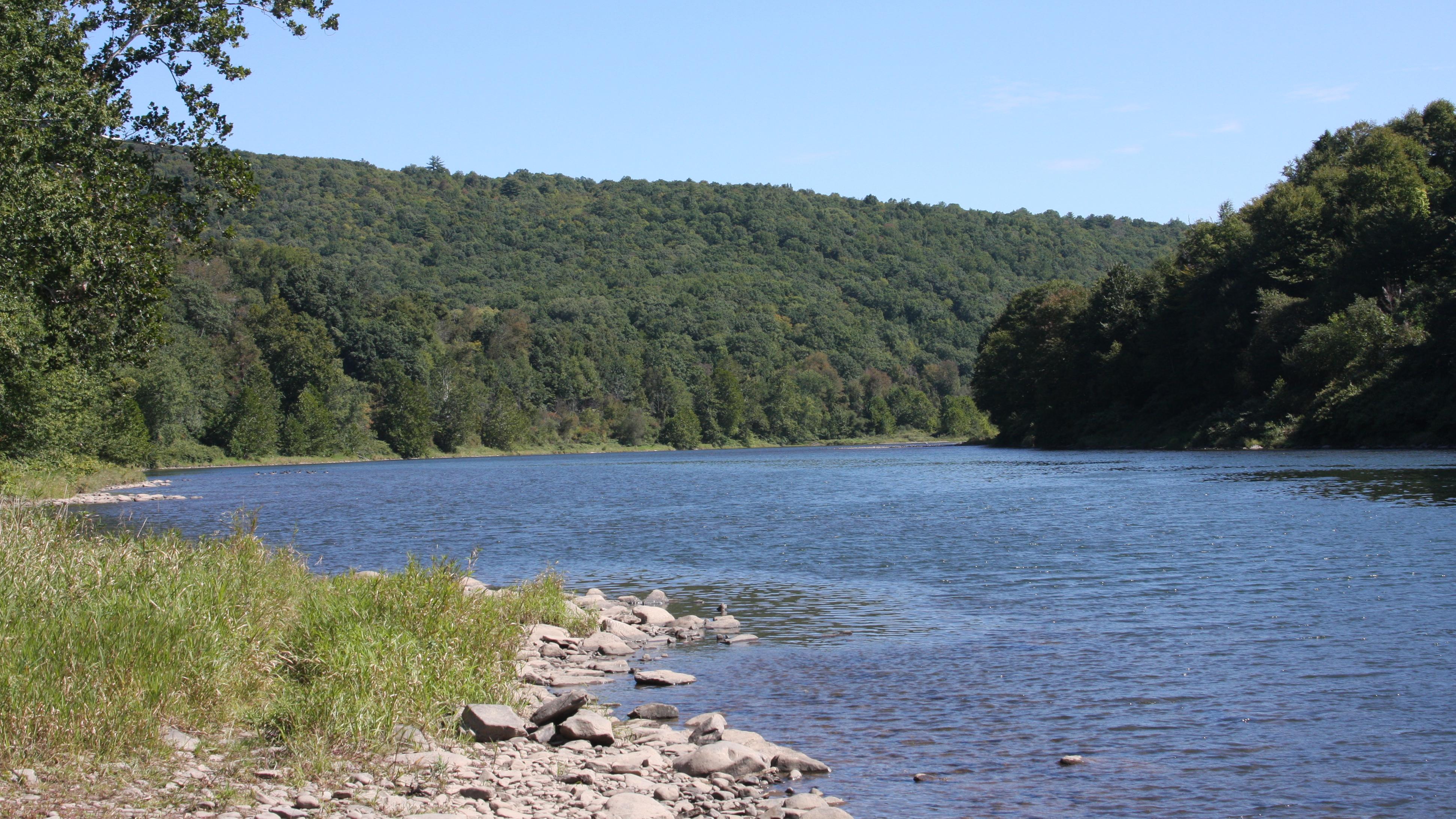 View of blue river winding around lush green hills. Rocky/grassy foreground leads to water.