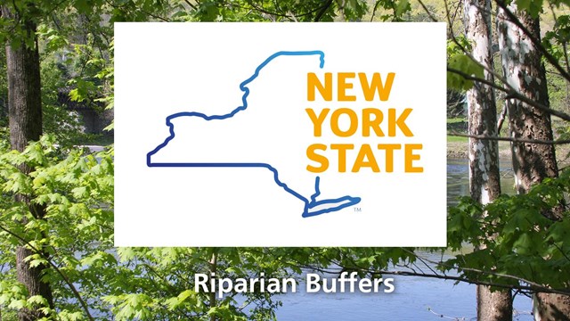 Forested river area photo with New York State Dept. of Environmental Conservation logo