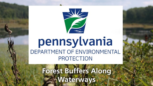 photo of pond with plants, with PA Dept. of Envir. Protection logo