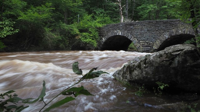 Rushing brown water with white rapids flow underneath a stone double-arched bridge in a forest.