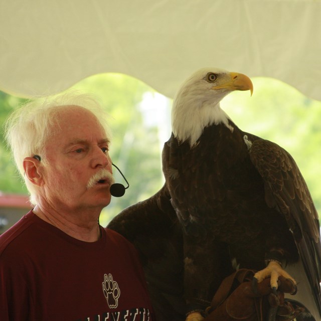 Older man with white hair, glasses, and mustache holds a bald eagle perched on his gloved arm.
