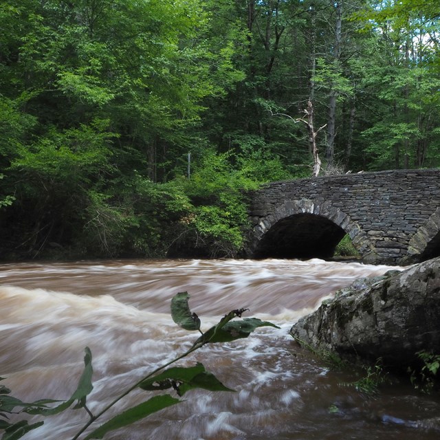 Rushing brown water with white rapids flow underneath a stone double-arched bridge in a forest.
