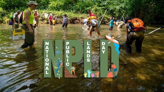 Volunteers catch stand in a creek wearing rubber boots and holding butterfly nets.