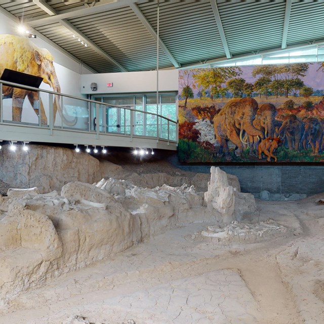 Interior of a large building. There is excavated area with fossils protruding from the ground.