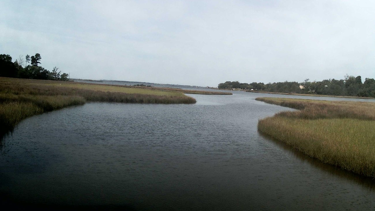 water flowing through a bayou