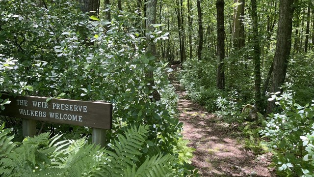 Entrance to Weir Preserve - welcome sign and trail in lush woodlands