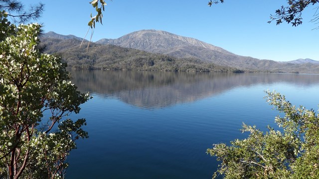 Clear blue sky, clear blue Whiskeytown Lake, and Shasta Bally. Green plants frame the photo.