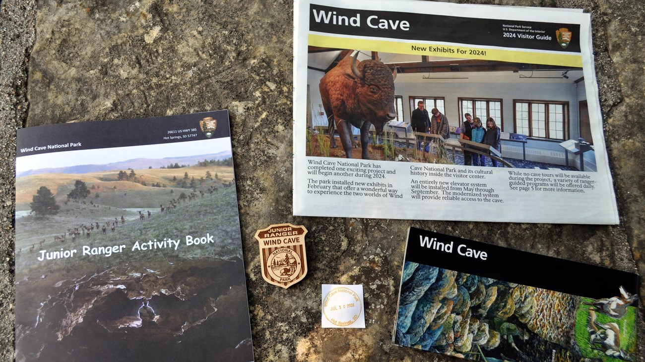 a park brochure, newspaper, junior ranger badge and book, and park stamp against a stone