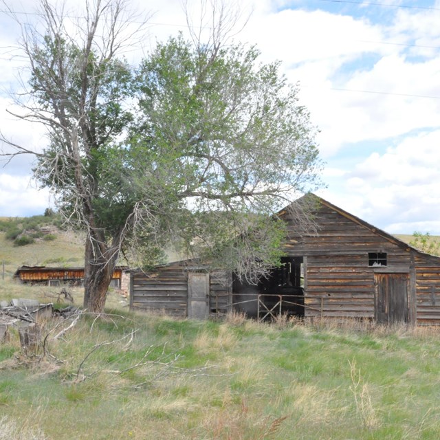 an old wooden building in a grassy field between two tall leafy trees