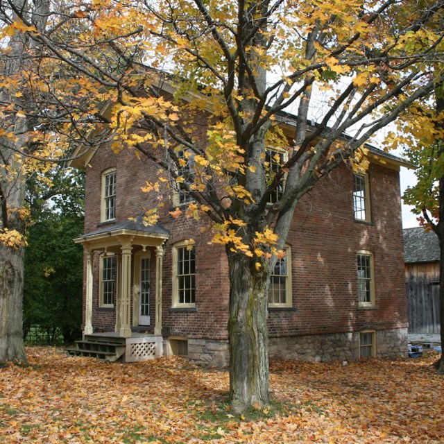 Houses surrounded by trees. NPS photo. 