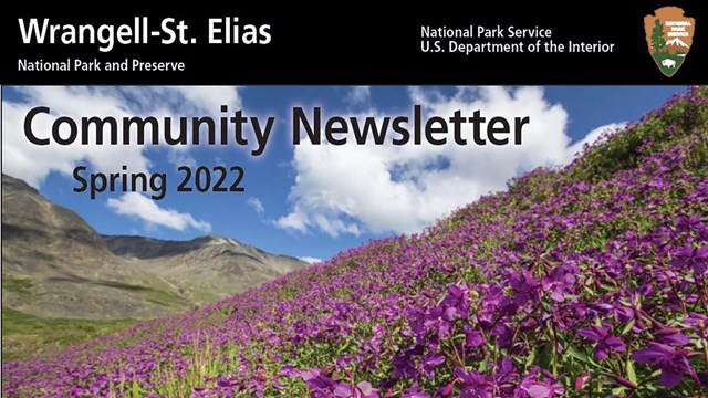 Community Newsletter Spring 2022 banner image of purple fireweed flowers on a hillside