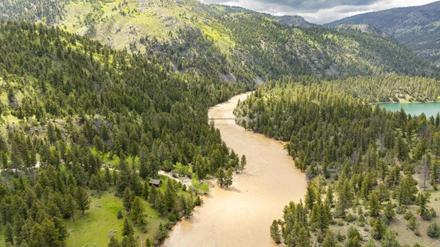 A swollen, brown river runs through a pine forest in a valley.