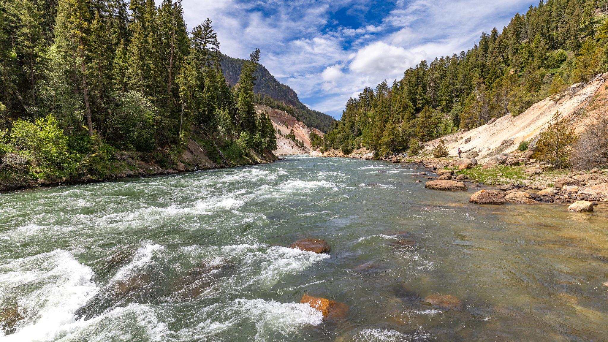 A river flows through a tree-lined canyon. 