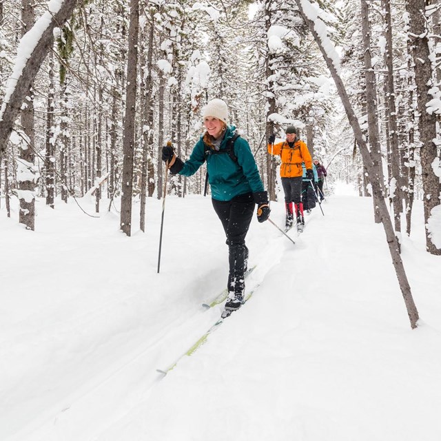 People skiing through a snowy forest.