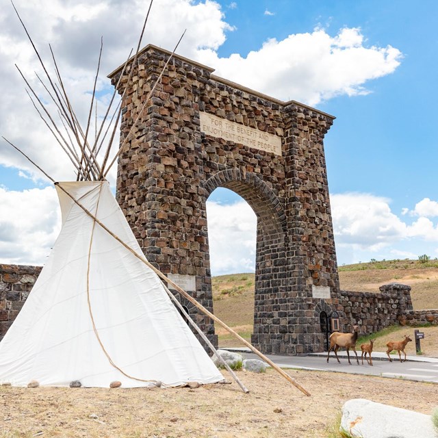 Roosevelt Arch with teepee in front and elk cow and calves on the road