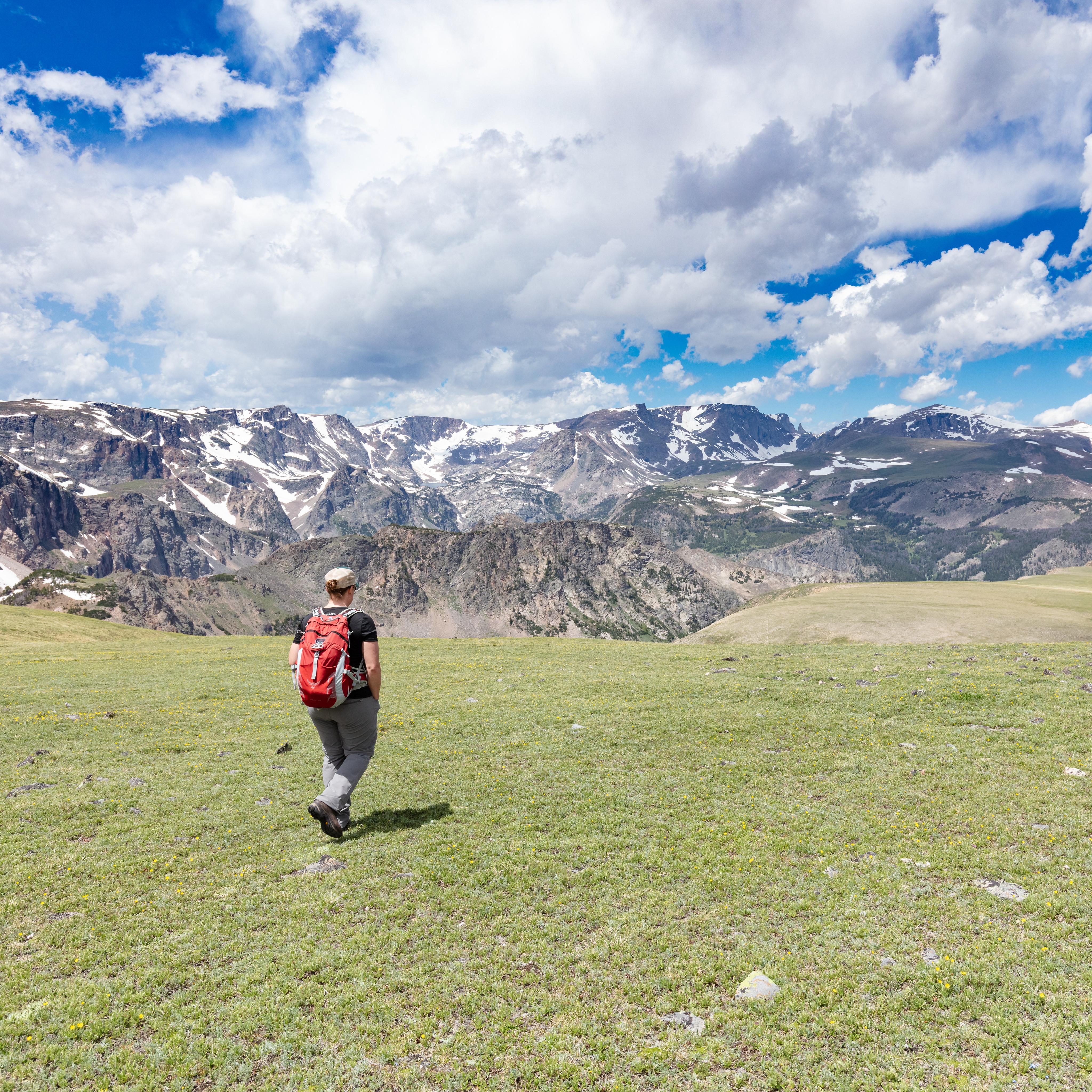 a person hiking in a green field with snowy mountains in the distance