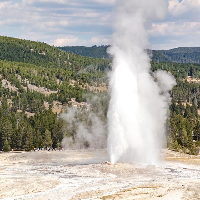 A geyser, Old Faithful, erupts and sends water into the air.