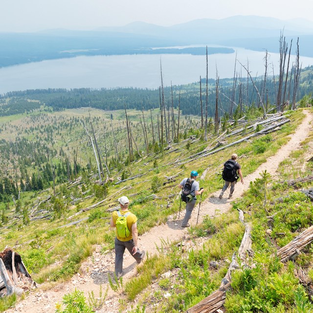 people hiking on a trail through an alpine landscape with a lake in the distance