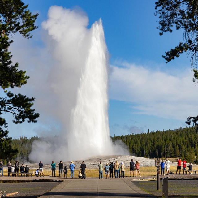 people watch an old faithful eruption