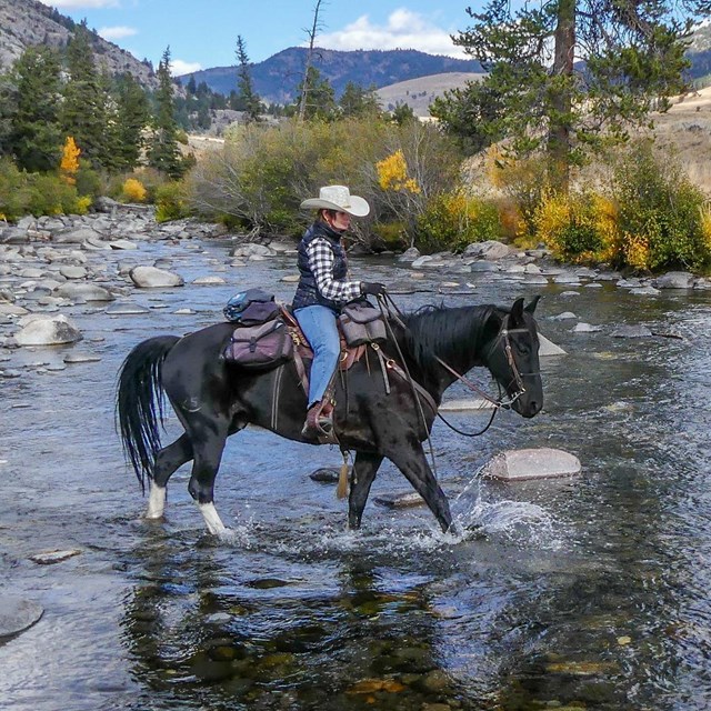 Rider on horseback travel through creek.