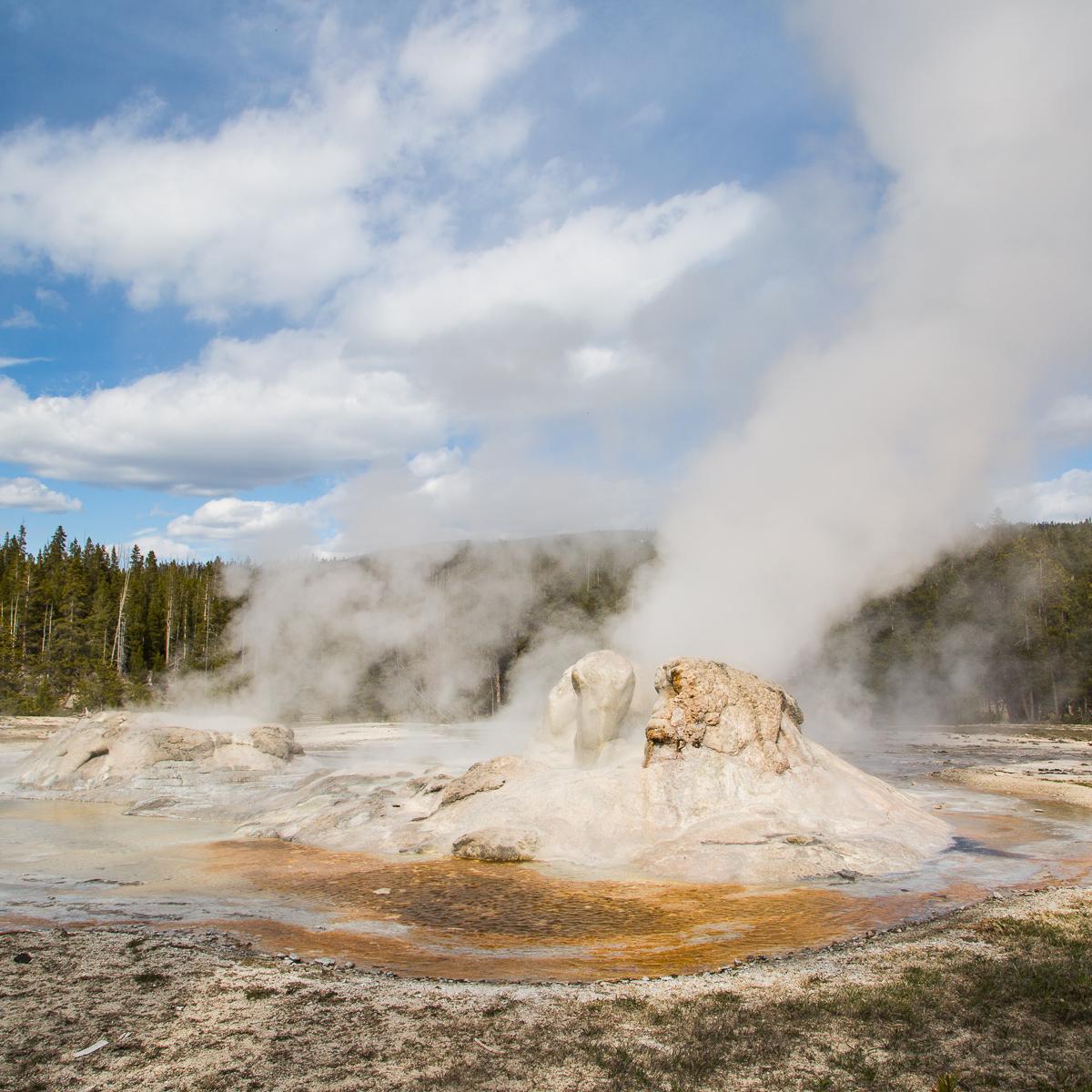Photo of Grotto Geyser in the Upper Geyser Basin