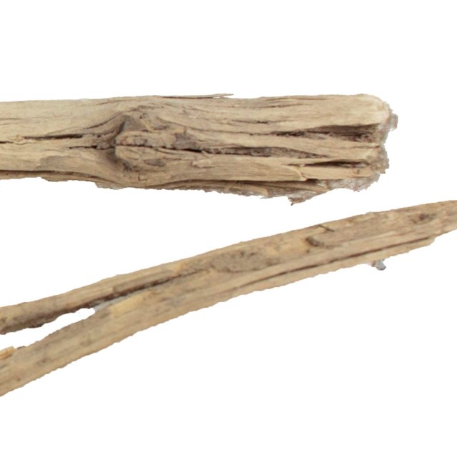 TWO WOODEN SHAFT FRAGMENTS (LIKELY A DART SHAFT BASED ON MORPHOLOGY AND AGE)