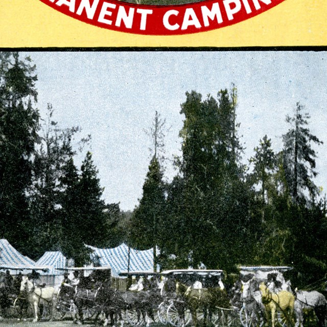 Wylie Permanent Camping Company Pamphlet