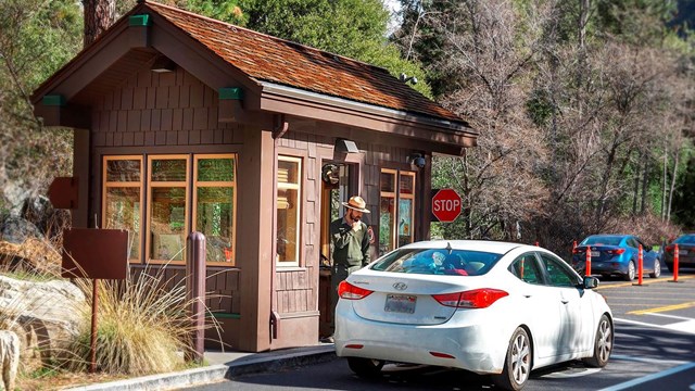 Vehicle and park ranger at Arch Rock Entrance