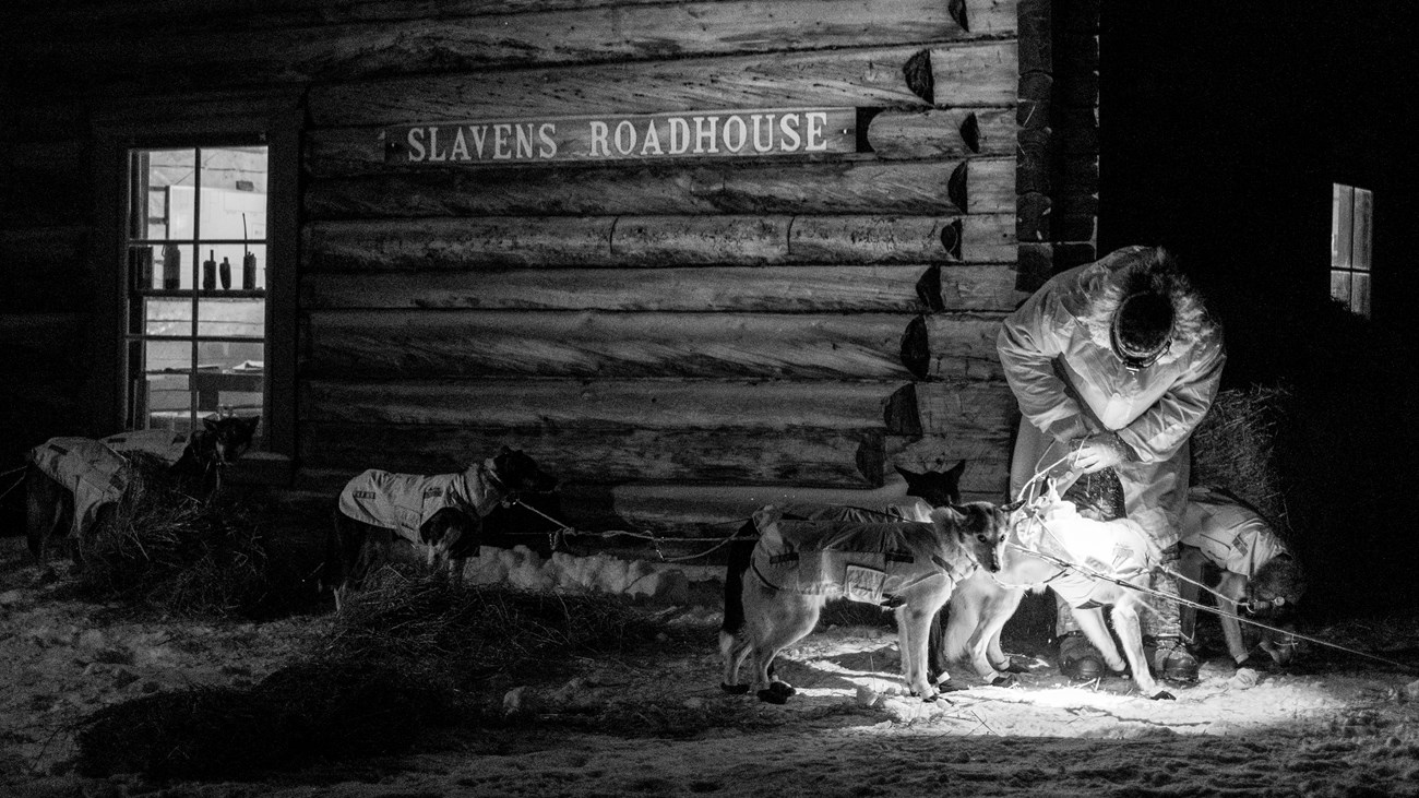 A musher tends to his sled dog team in front of Slaven's Roadhouse at night
