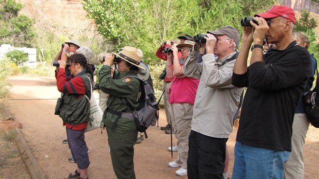 A group of visitors and a ranger with binoculars