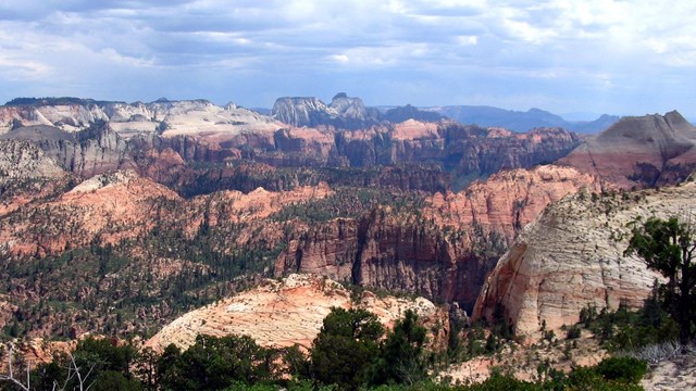 A scenic overlook of Zion