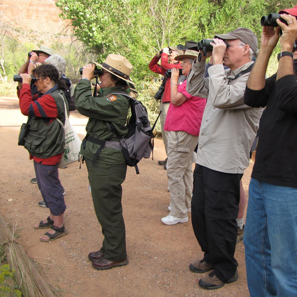 A ranger looks through binoculars with a group of visitors also using binoculars.