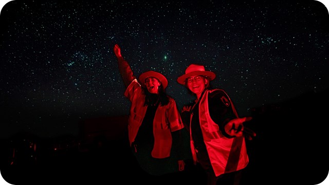 Two individuals stand out vividly against a dark night sky brimming with stars.