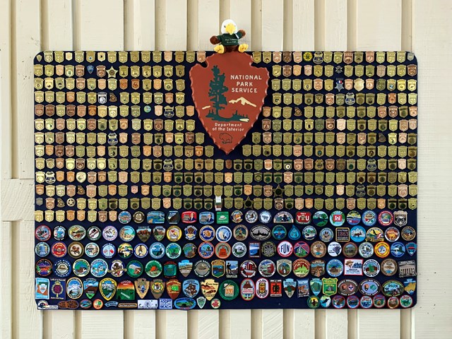 A display that is filled with many Junior Ranger Badges and patches