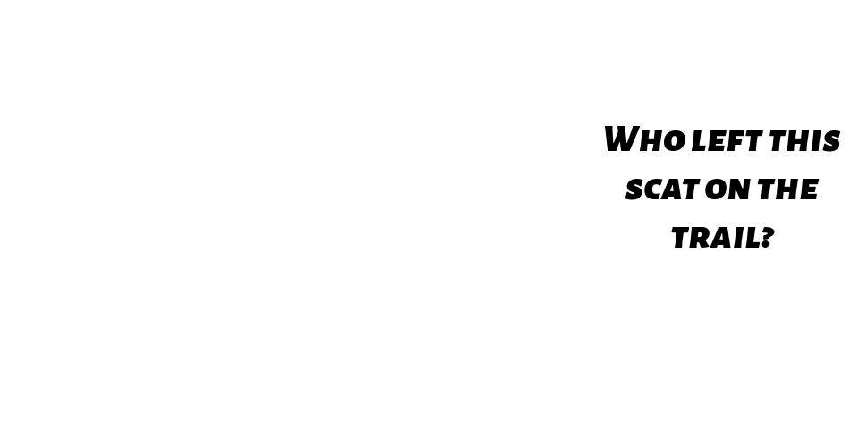Small round pieces of scat in the woods, in between the ground and a rock. With a text box reading, "Hint: I am a vegetarian and I eat 40 pounds of leaves a day!"