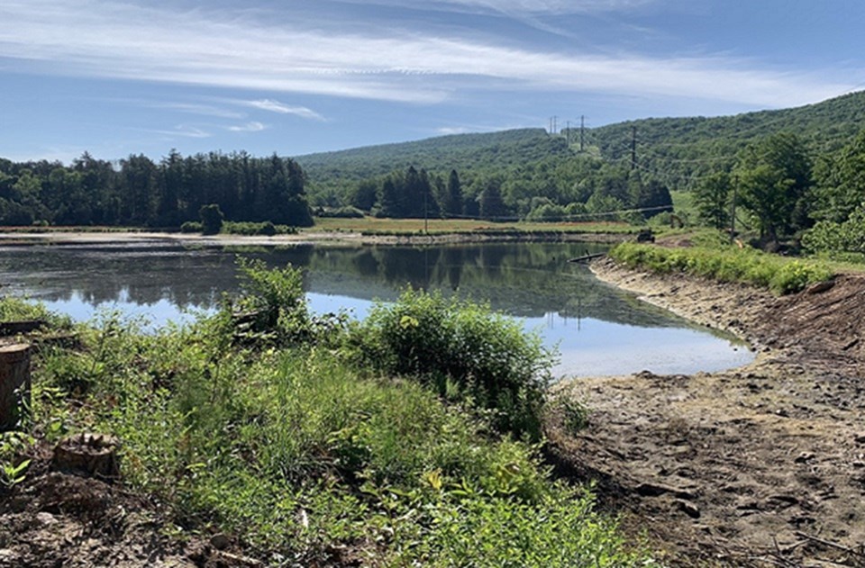 Manmade pond at Watergate Recreation Site, Delaware Water Gap National Recreation Area.