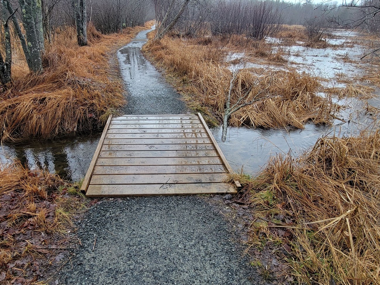 water spills over a gravel trail making it impassable