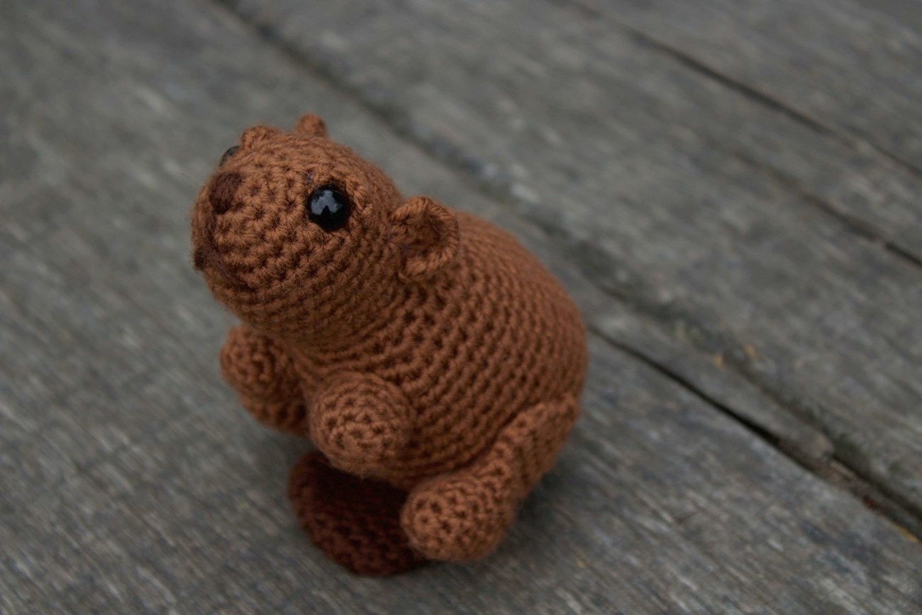 A crochet beaver propped up with its nose pointing up to the camera.