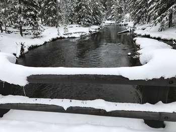 Snow covers the pine trees and banks of the Firehole River.