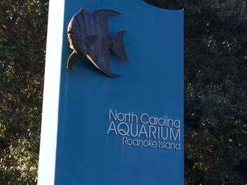 North Carolina Aquariums