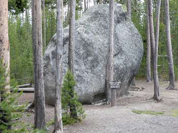 A massive boulder sits amongst a forest of thin, straight lodgepole pines.