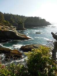 A beautiful rocky ocean cliff.