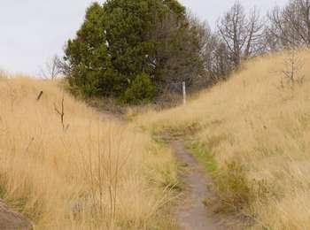 Dried, brown grass covered hillside with a deep, long, u-shaped depression that contains a bare dirt path
