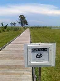 Start of the Bodie Island Boardwalk with a snake warning sign.