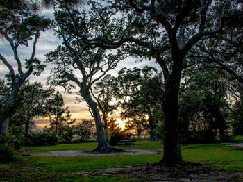 Wooden picnic tables under silhouetted trees at sunset.