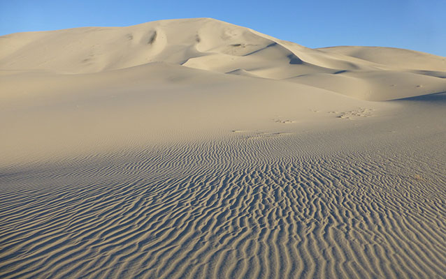 Sand Dune Desert