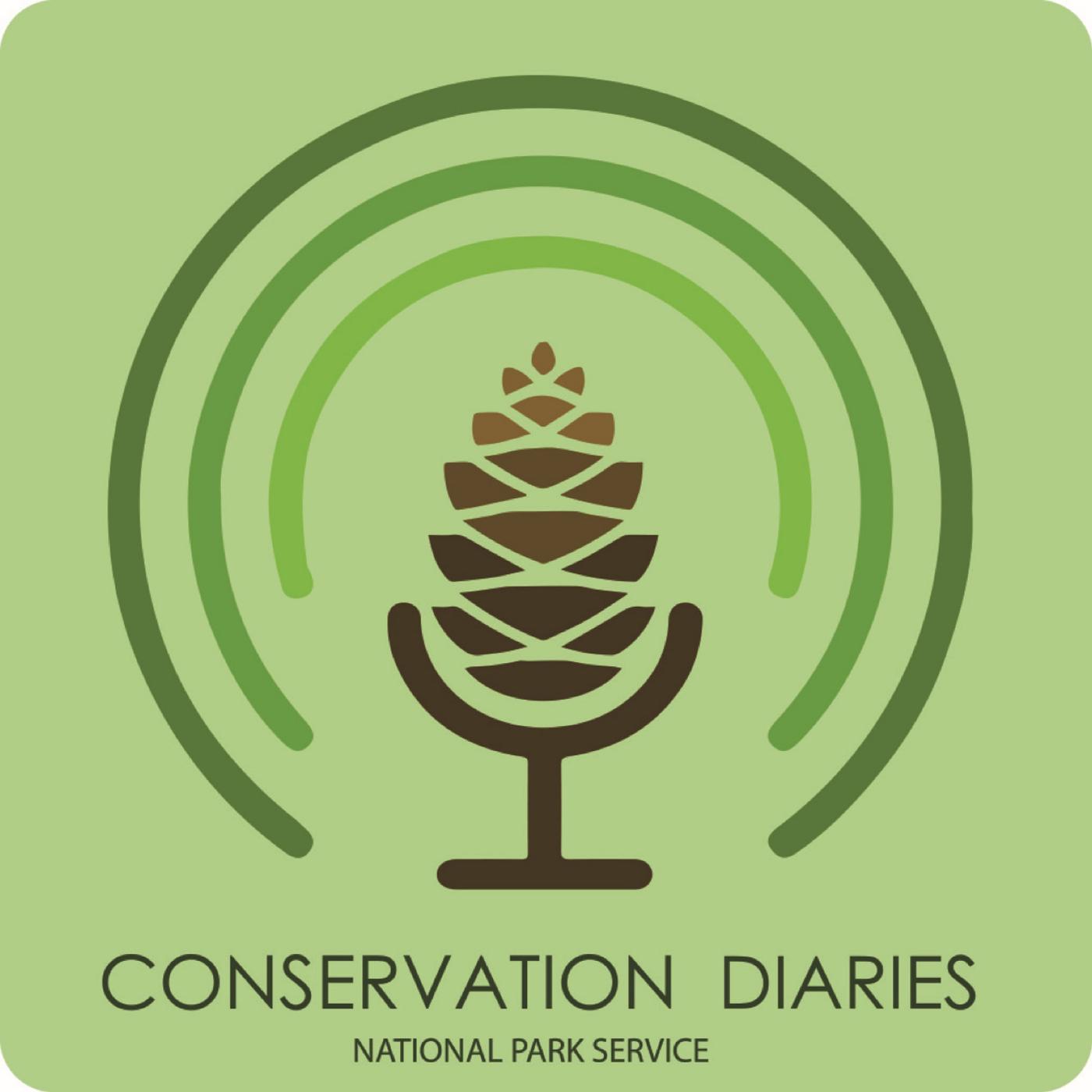 Image of a pine cone microphone with text reading "Conservation Diaries. National Park Service."