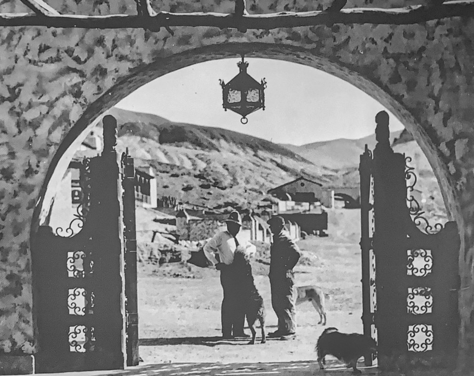 Two men talk outside a gate with three dogs near them.